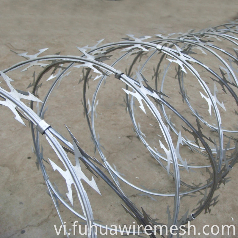 China Specialized Manufacturer Razor Barbed Tape Wire1